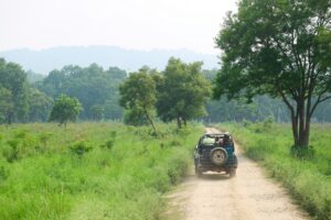 Adventure Activities Around Jim Corbett National Park