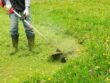 Aeration and Overseeding