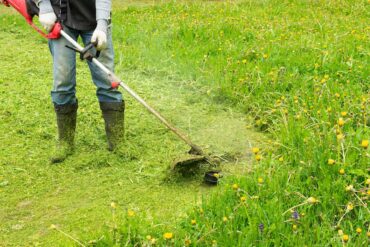 Getting Most Out Of Your Vacuum Cleaner